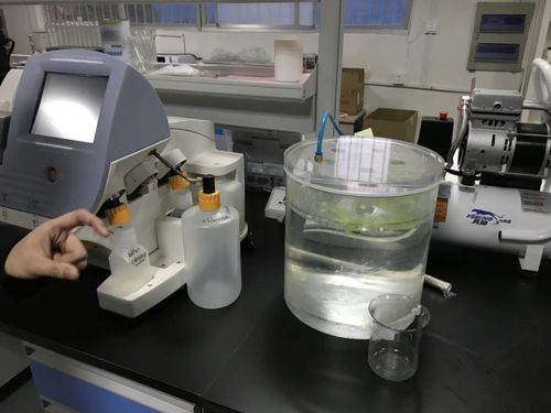 貝愛益生全國合伙人齊聚科爾工廠，零距離見證羊初乳CPP復合粉安全生產與網絡安全技術研發